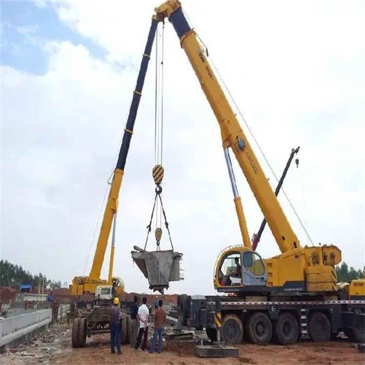 沙洋小型吊机出租电话|厂房设备吊装方案|24小时服务覆盖